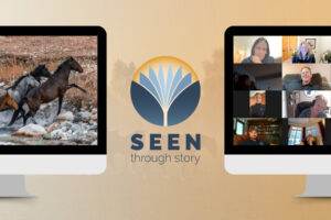 seen through story workshop - Online and Interactive