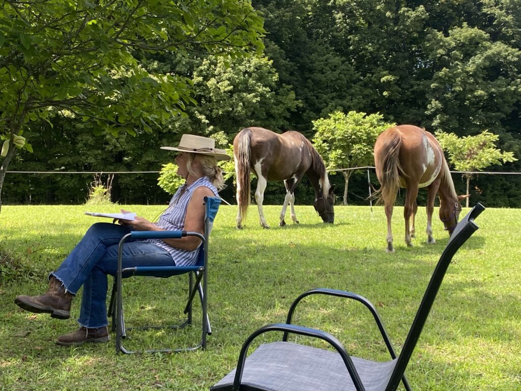 Healing and self-improvement through experiential learning with horses.