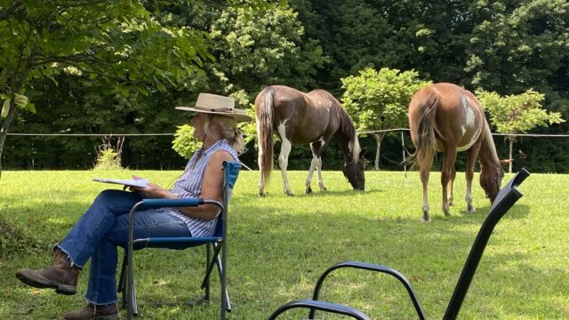 Healing and self-improvement through experiential learning with horses.